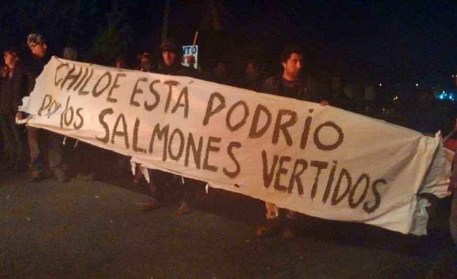 chiloe-protesta-2016-5-31e5i2m9bxi93smjczowzu