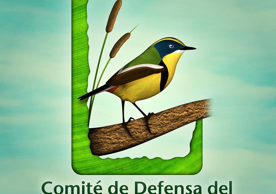 (Audio) Entrevista Comité de Defensa del Humedal Paicaví de Concepción
