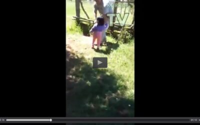(Nota+Video) Infancia Mapuche bajo Ataque: Violentos allanamientos a comunidades de Ercilla son relatados por joven comunero