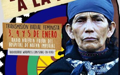 Comunicado: RED DE RADIALISTAS FEMINISTAS Y LESBOFEMINISTAS frente a la grave situación que vive la Machi Francisca Linconao.