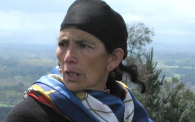 (Audio) Medida de Protección a Machi Francisca Linconao por Amenazas de Muerte