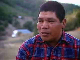 Asesinan a dirigente indígena en México: Isidro Baldenegro defensor de los bosques de la Sierra Tarahumara