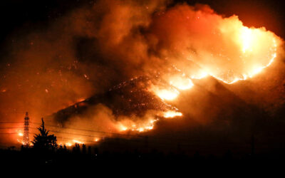 (Audio) Reportaje radial: Lo que arde tras el modelo forestal