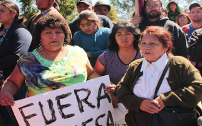 Declaración Pública ante el retiro de Línea de Alta Tensión Neltume – Pullinque:»Esta es una victoria de las comunidades mapuche y organizaciones socio ambientales del territorio» .