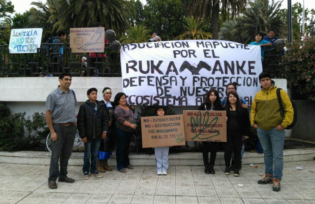 (Audio) Manifestación en Temuko ¡No + Plantaciones Forestales!