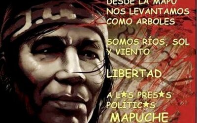 Desde la cárcel de Temuco: comunicado público ante situación del pueblo mapuche e invitación a Trawün