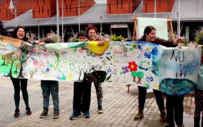 Se Realizará en Villarrica 4ta Feria y Encuentro Frutos del Bosque Nativo en Tiempos de Rimü