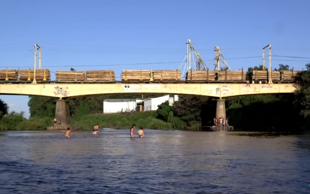 [Ver Online] Documental «Salvemos el Río Renaico» expone problemática generada por Mininco y CMPC