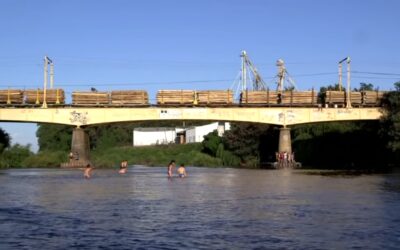 [Ver Online] Documental «Salvemos el Río Renaico» expone problemática generada por Mininco y CMPC