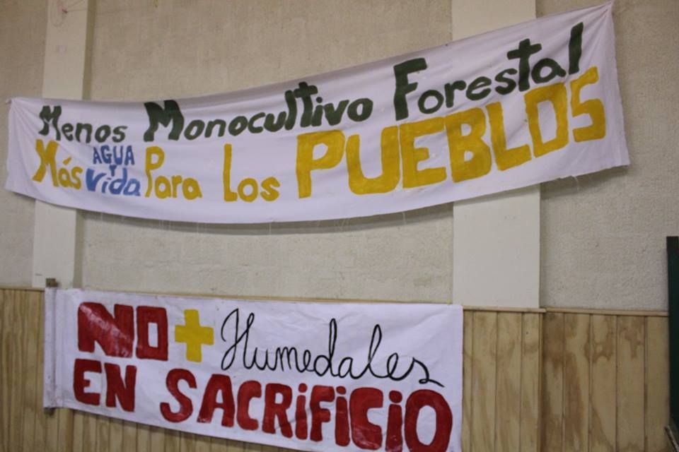 Declaración Pública y convocatoria a Marcha del movimiento Socioambiental: «Arauco tiene mil penas»