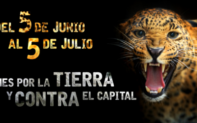 Convocatoria: Del 5 de Junio al 5 de Julio / Mes por la Tierra y contra el Capital.