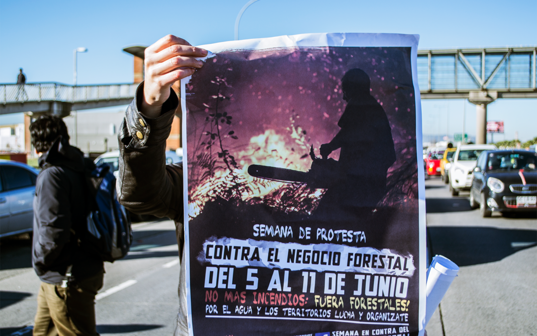 Primer día de agitación contra la IUFRO y las empresas forestales en Concepción.