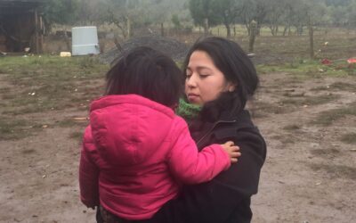 (VIDEO)EN LA MUNICIPALIDAD DE ERCILLA UNA COMISIÓN DE LA POLICÍA DE CIVIL SECUESTRA A MUJER MAPUCHE Y ALLANA ESCUELA RURAL EN TEMUCUICUI.