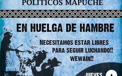 COMUNICADO PUBLICO PRISIONEROS POLITICOS MAPUCHE CASO IGLESIA Y CASO LUCHSINGER MACKAY