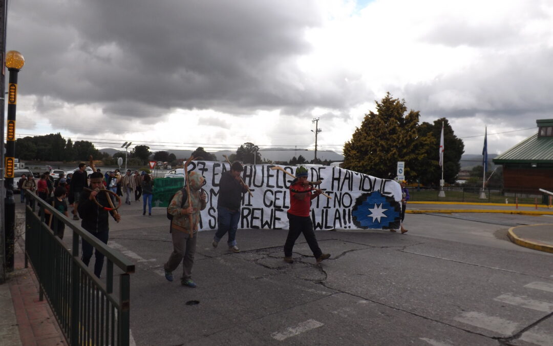 Ainileufu [Valdivia]. Marcha en Apoyo al Machi Celestino Cordova.
