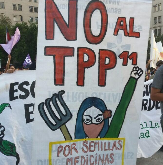 En seis ciudades realizaron manifestaciones en rechazo al TTP-11 que se firmará en Santiago