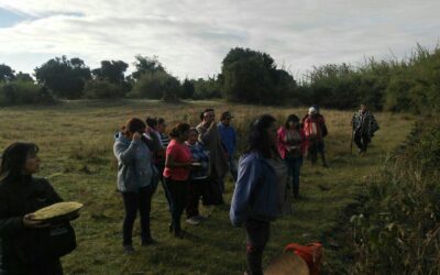 Comunidades mapuche de Temuko se movilizan en defensa de laguna Rengalil.