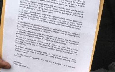 Vocería de Machi Celestino Córdova entrega carta a Sebastián Piñera en La Moneda.