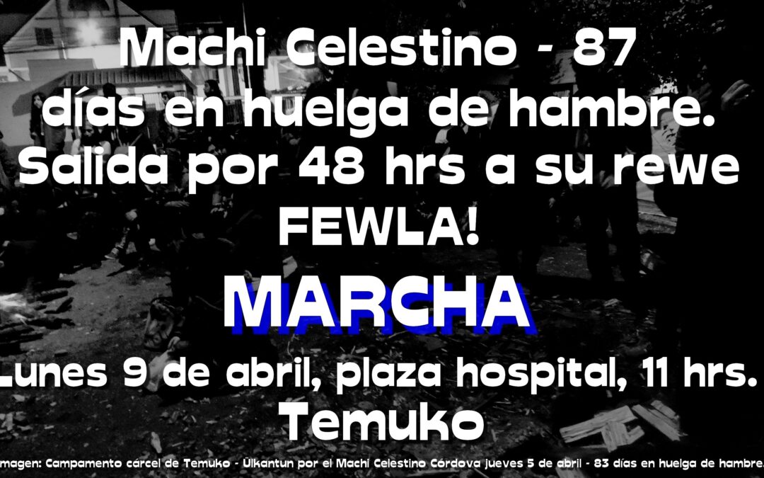 (Audio) Ülkantun por el Machi Celestino Córdova a 83 días en huelga de hambre.