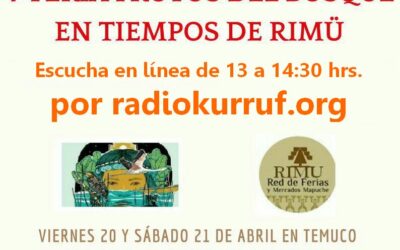 [Cuña Radial] Radio abierta en Inauguración V Feria Frutos del Bosque en Tiempo de Rimü.