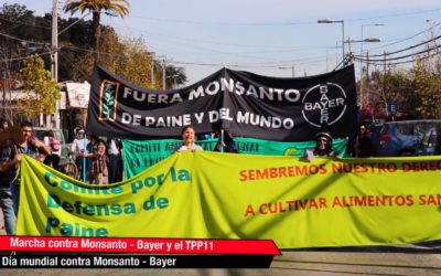 [Video] Marcha contra Monsanto-Bayer y TPP 11 en localidad de Paine.