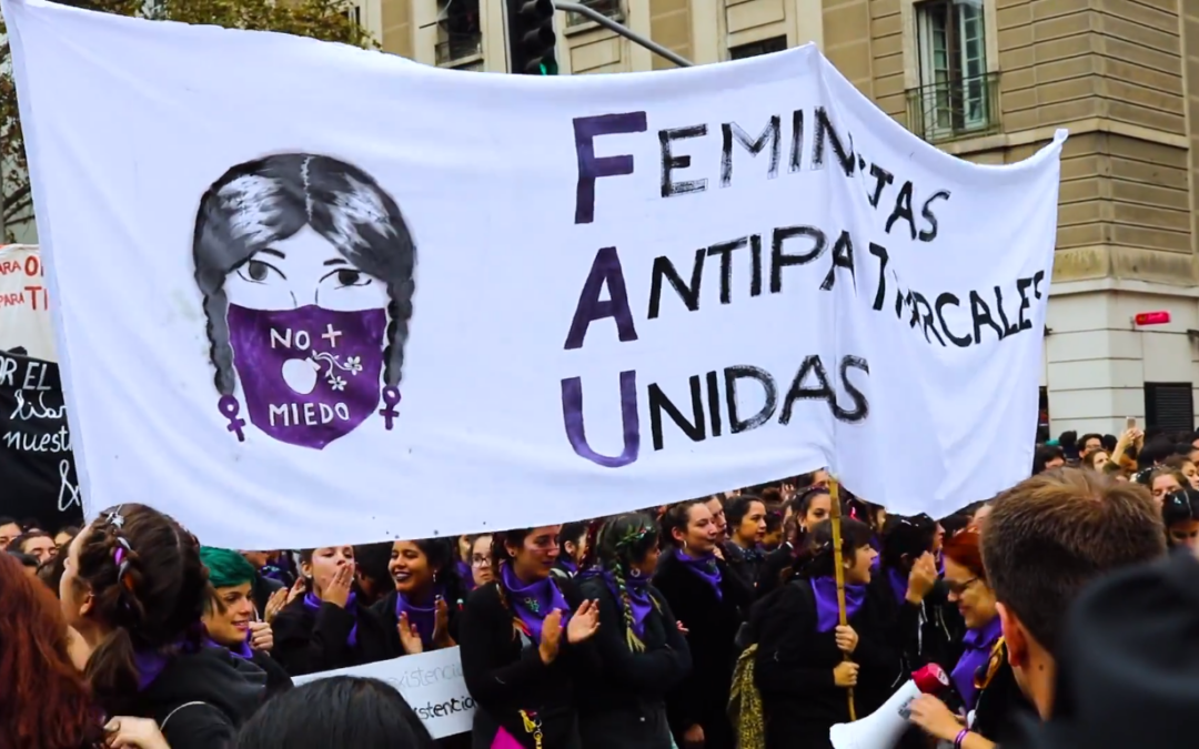 [Video] Santiago: Marcha por una educación no sexista.