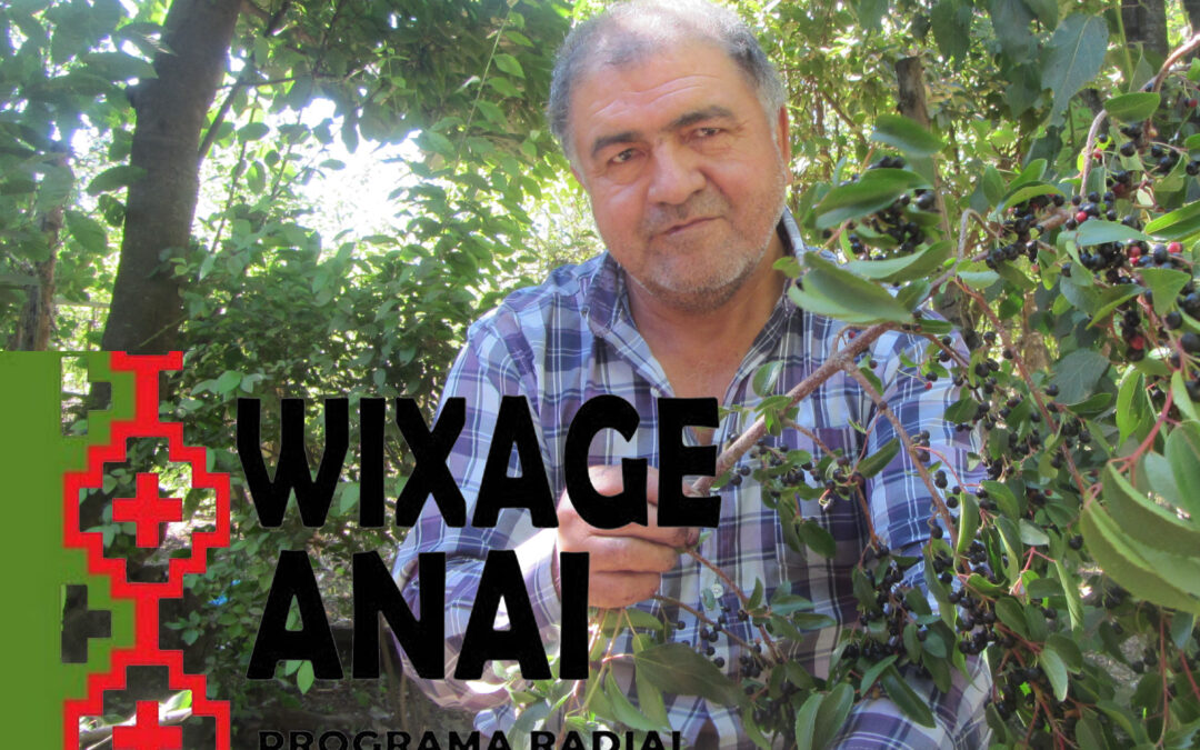 [Podcast] Wixage Anai 13 de mayo – Nuxam con José Tralcal Coche condenado en Caso Luchsinger Mackay.