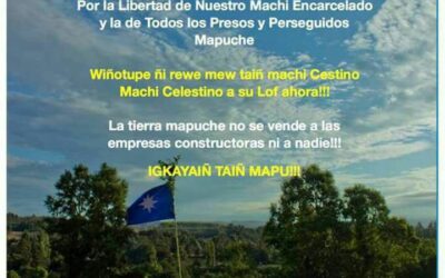 Convocan a movilización social y multiterritorial mapuche en Temuko.
