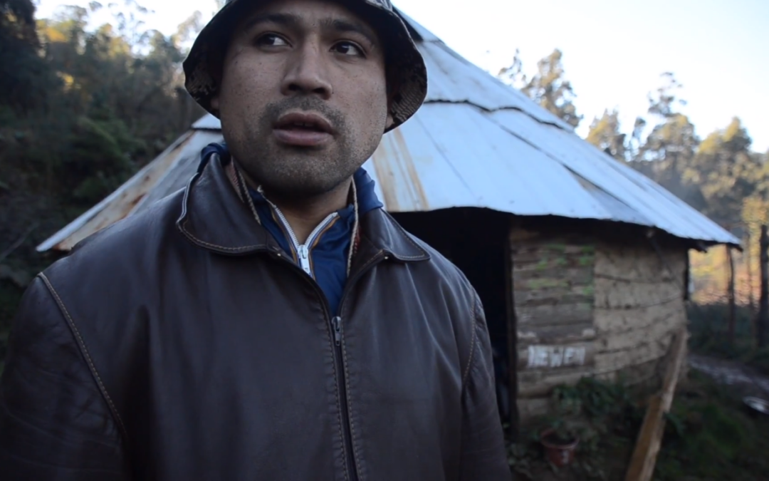 [Video] Löf Michillanca en Los Molinos costa de Valdivia luego del desalojo y destrucción de viviendas.