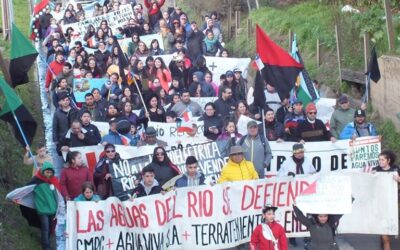Masiva marcha contra hidroeléctrica de pasada en Renaico