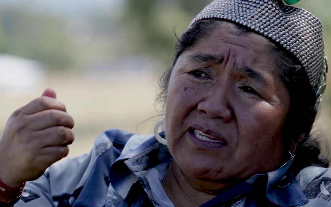 [Audio] Entrevista Werken Ad Mapu Ana Llao » Se está volviendo a la ley de tierras de la dictadura»