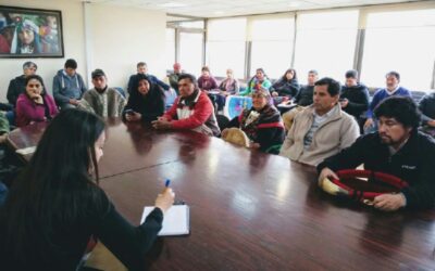 [VIDEO] Ingresan denuncia por contaminación acústica y ambiental del aeropuerto de Temuco ubicado en territorio mapuche