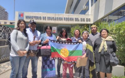 Participantes Consulta Indígena Educación Suspenden actuación hasta que se desmilitarice Wallmapu y renuncie Chadwick
