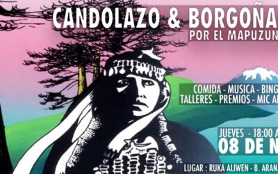 [Conce] Organizan beneficio por la difusión del Mapuzugun