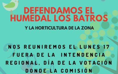 Realizarán concentración en defensa del Humedal Los Batros amenazado por proyecto Puente Industrial