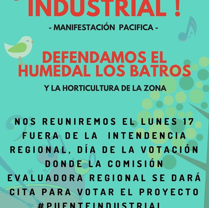 Realizarán concentración en defensa del Humedal Los Batros amenazado por proyecto Puente Industrial