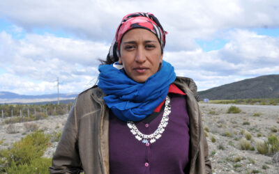 [Audio + Comunicado] Andrea Millañanko explica por qué se movilizan presos mapuche en Temuco