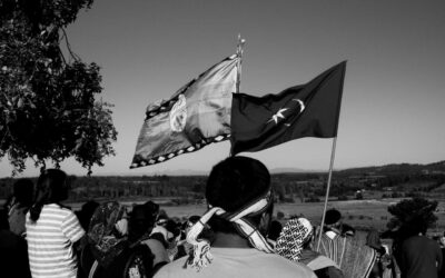 [Comunicado] Comunidades Mapuche en Resistencia de Malleco – Ante las declaraciones del Ex GOPE Carlos Alarcón