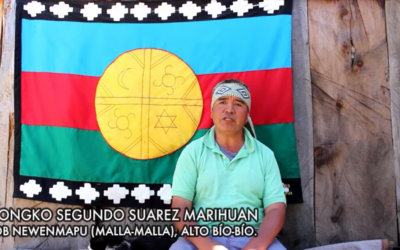 [Video] Alto Biobío: Convocan a Xawün ka Nüxamkan en memoria de Camilo Catrillanca