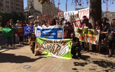 [Declaración Wallmapu NO al TPP]- La arremetida colonial de las megacorporaciones a punto de ratificarse en su totalidad.