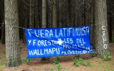 [Comunicado] Comunidades Mapuche en resistencia de Malleko: «Ante los lamentables hechos ocurridos durante las últimas semanas en la zona de Ercilla»