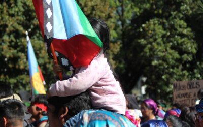 Red Infancia Mapuche denuncia violencia institucional y policial hacia niñ@s mapuche durante marcha en Temuco