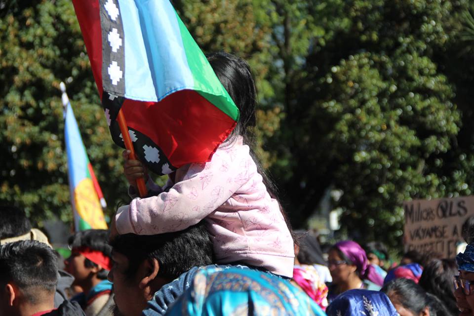 Red Infancia Mapuche denuncia violencia institucional y policial hacia niñ@s mapuche durante marcha en Temuco