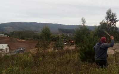 La resistencia de la Comunidad Lavkenche de Yani, lov Rali Cura, frente a la Forestal.