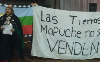 [Concepción, Ley Indígena] Rechazada en Concepción la Consulta del gobierno para modificar la Ley Indígena