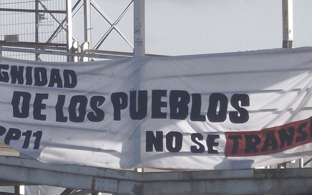 [Concepción] Movilizaciones en contra de la aprobación del TPP-11