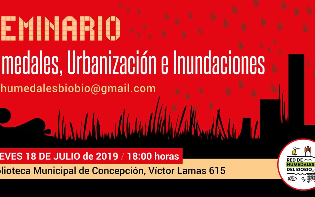 [Concepción] Realizarán seminario: «Humedales, Urbanización e Inundaciones»