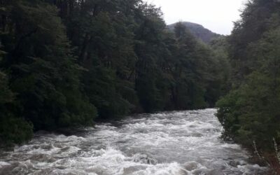 [CURACAUTÍN] Proyecto hidroeléctrico Hueñivales amenaza la vida y espiritualidad de las comunidades mapuche