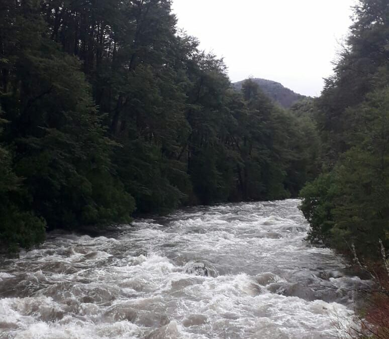 [CURACAUTÍN] Proyecto hidroeléctrico Hueñivales amenaza la vida y espiritualidad de las comunidades mapuche