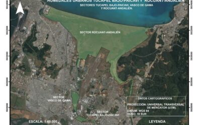 Logran protección ambiental para red de humedales del Gran Concepción